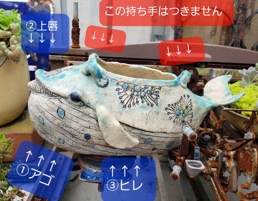 画像: 2024年/栃尾さんの陶器のクジラ鉢〜お申込みページ（24-9）